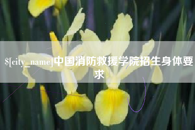 中山中国消防救援学院招生身体要求