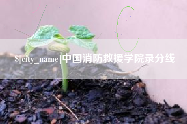 中山中国消防救援学院录分线