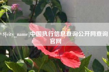 中山中国执行信息查询公开网查询官网