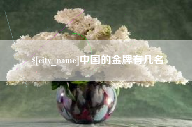中山中国的金牌有几名