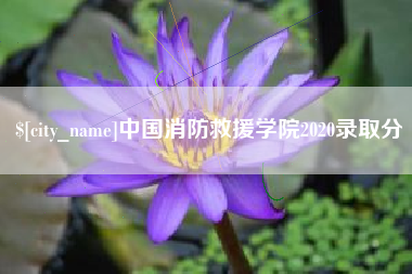 中山中国消防救援学院2020录取分