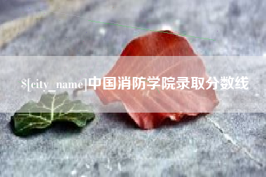 中山中国消防学院录取分数线