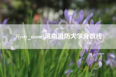 中山河南消防大学分数线