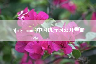 中山中国执行网公开查询