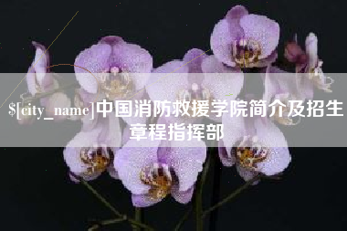 中山中国消防救援学院简介及招生章程指挥部