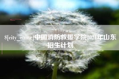 中山中国消防救援学院2021年山东招生计划