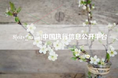 中山中国执行信息公开平台