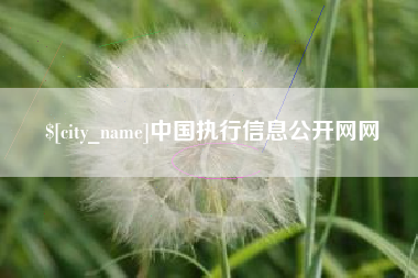 中山中国执行信息公开网网
