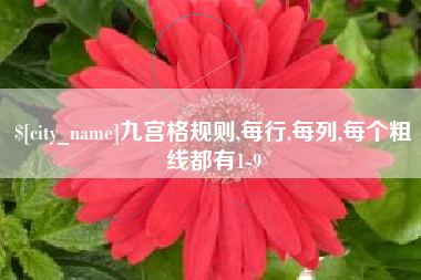 中山九宫格规则,每行,每列,每个粗线都有1-9