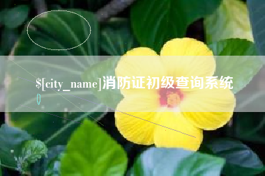 中山消防证初级查询系统