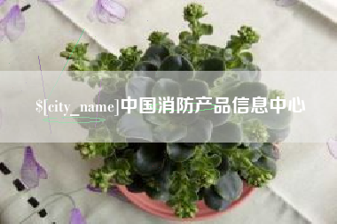 中山中国消防产品信息中心