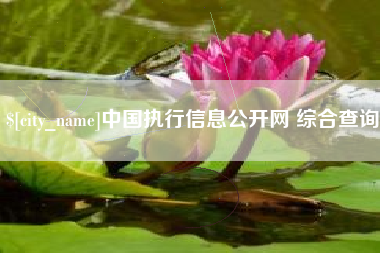 中山中国执行信息公开网 综合查询