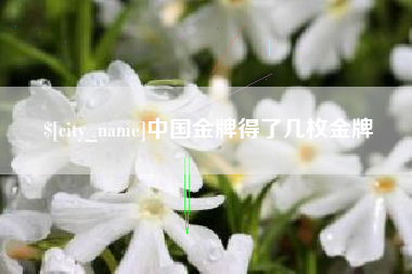 中山中国金牌得了几枚金牌