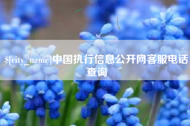 中山中国执行信息公开网客服电话查询