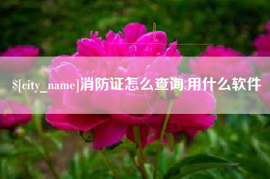 中山消防证怎么查询,用什么软件
