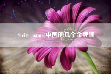 中山中国的几个金牌啊
