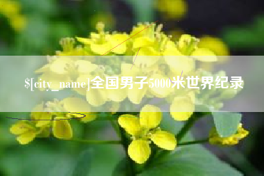 中山全国男子5000米世界纪录