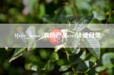 中山消防产品cccf认证目录