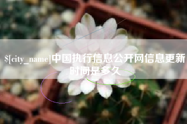 中山中国执行信息公开网信息更新时间是多久