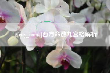 中山西方命数九宫格解析
