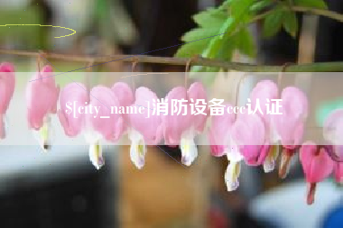 中山消防设备ccc认证