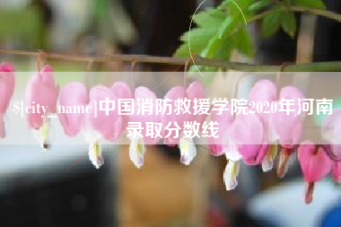 中山中国消防救援学院2020年河南录取分数线