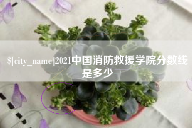 中山2021中国消防救援学院分数线是多少