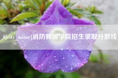 中山消防救援学院招生录取分数线