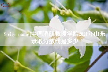 中山中国消防救援学院2021年山东录取分数线是多少
