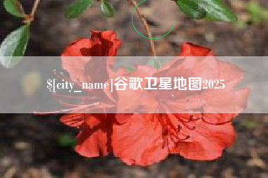中山谷歌卫星地图2025