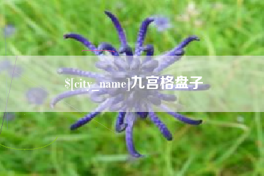 中山九宫格盘子