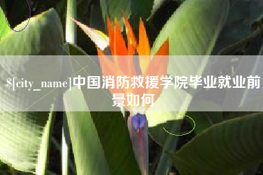中山中国消防救援学院毕业就业前景如何