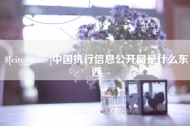 中山中国执行信息公开网是什么东西