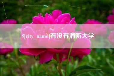 中山有没有消防大学