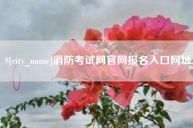 中山消防考试网官网报名入口网址