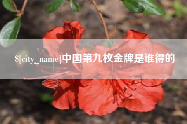 中山中国第九枚金牌是谁得的