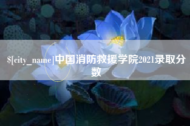 中山中国消防救援学院2021录取分数