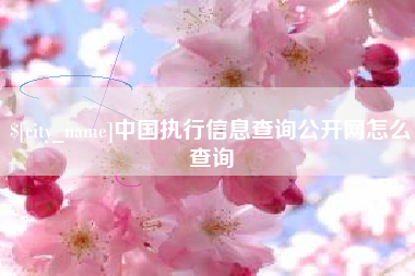 中山中国执行信息查询公开网怎么查询