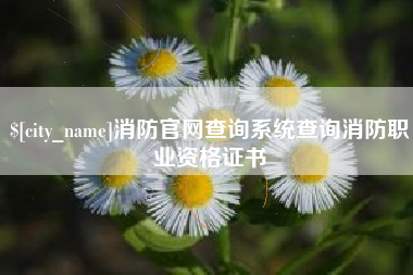中山消防官网查询系统查询消防职业资格证书