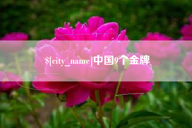 中山中国9个金牌