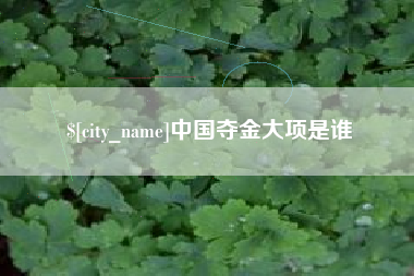 中山中国夺金大项是谁