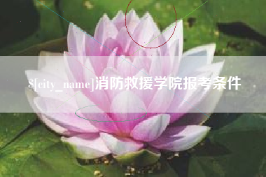 中山消防救援学院报考条件