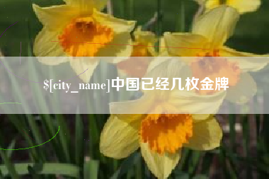中山中国已经几枚金牌