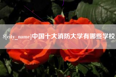 中山中国十大消防大学有哪些学校