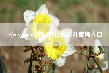 中山中国执行网公开查询入口