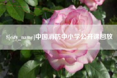 中山中国消防中小学公开课回放