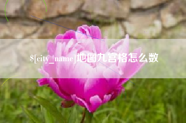 中山地图九宫格怎么数