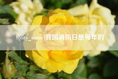中山我国消防日是每年的