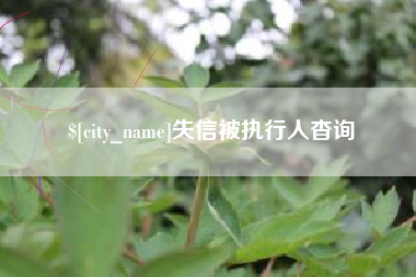中山失信被执行人杳询