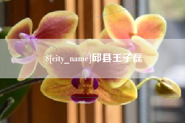 中山邱县王子磊
